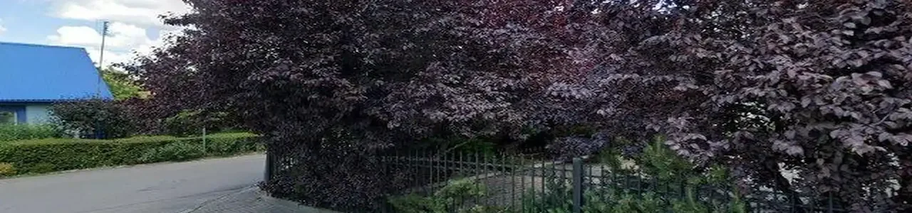 Zdjęcie placówki Banku Spółdzielczego przy ulicy Rynek w Wisznicach