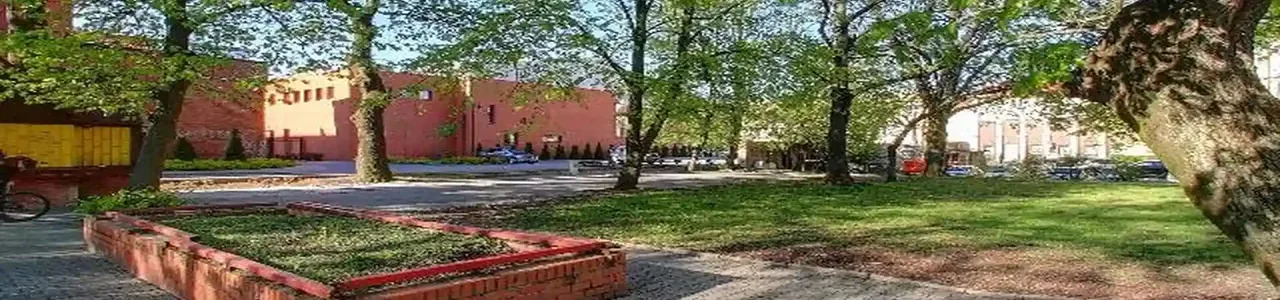 Zdjęcie placówki BNP Paribas Bank Polska S.A. przy ulicy Armii Krajowej w Ełku