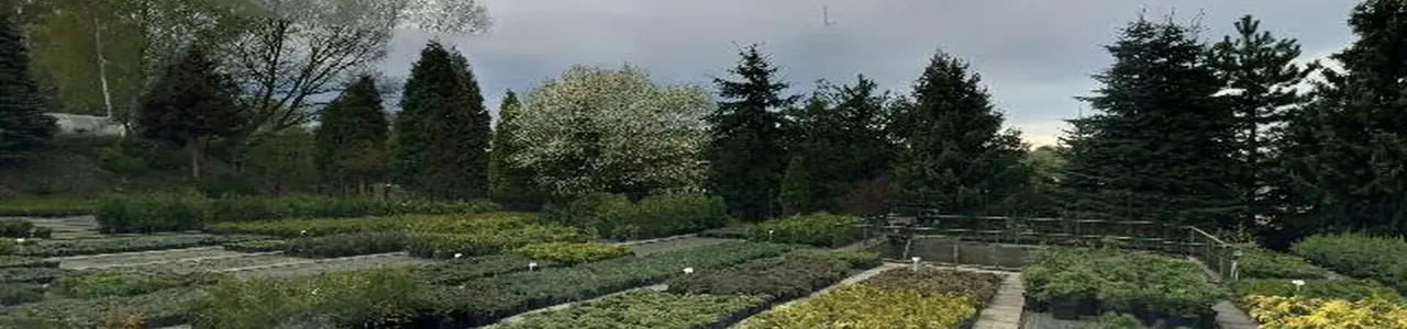 Zdjęcie placówki Credit Agricole przy ulicy Ks. Płk. Wilhelma Kubsza w Wodzisławiu Śląskim