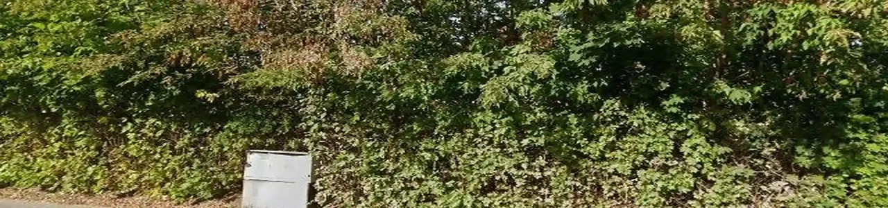 Zdjęcie placówki Banku Pekao w Ostrowie Mazowieckiej przy ulicy Grota Roweckiego