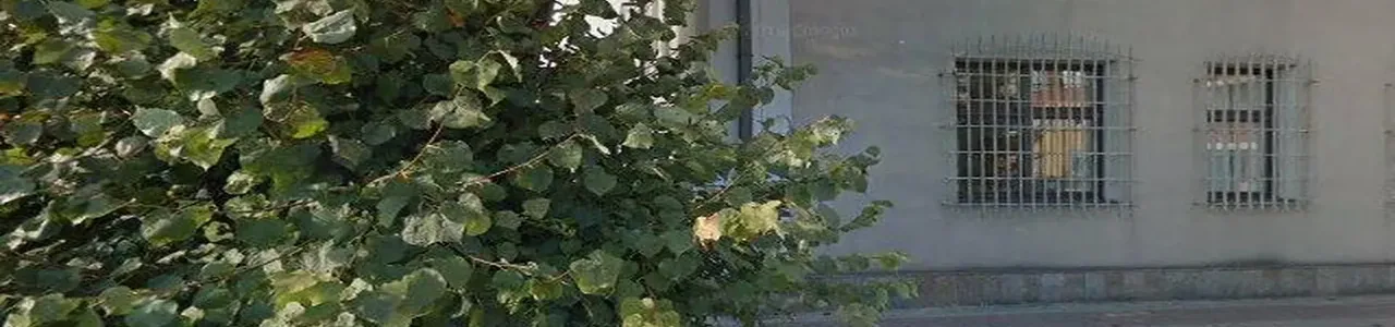 Zdjęcie placówki banku PKO Bank Polski przy ulicy Lubelskiej w Lubartowie