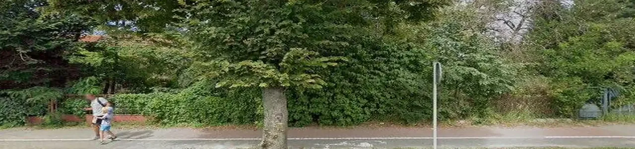 Zdjęcie placówki PKO Bank Polski przy ulicy Piotrkowskiej w Opocznie