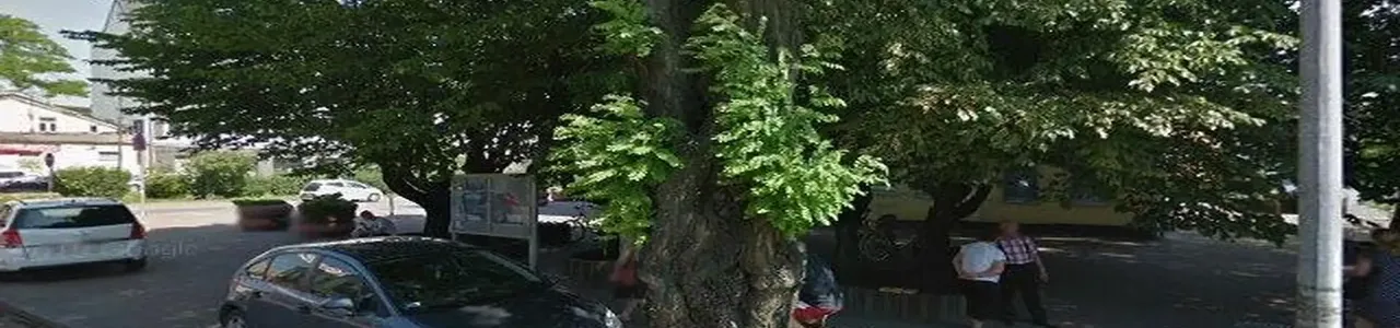 Zdjęcie placówki PKO Bank Polski przy ulicy Reymonta w Radomsku