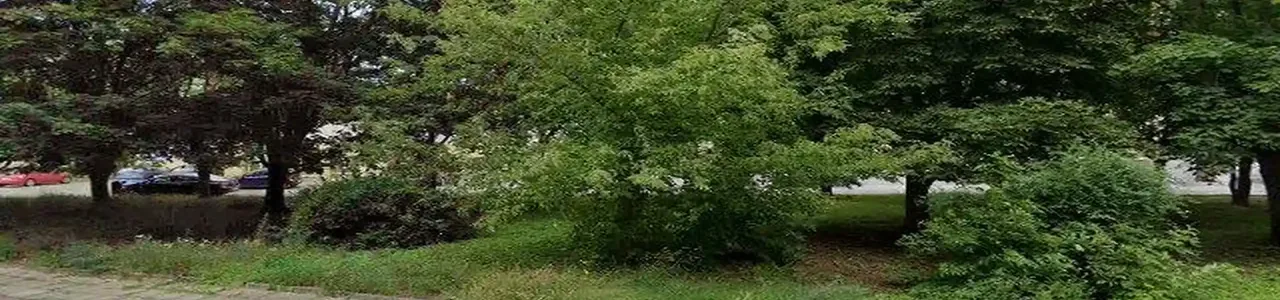 Zdjęcie jednej z placówek banku Santander w Gubinie