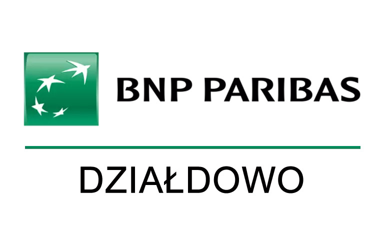 Logo placówki BNP w Działdowie