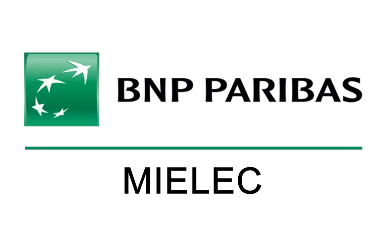 Logo placówki BNP w Mielcu