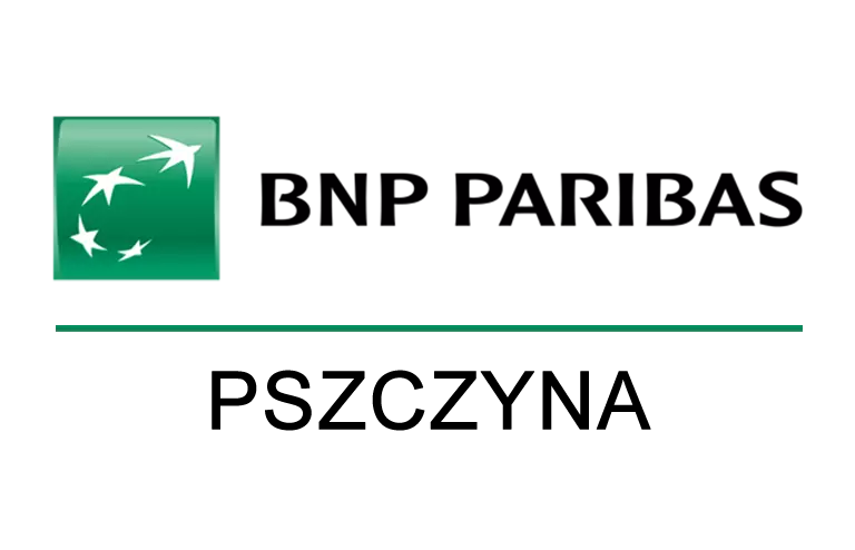 Logo placówki BNP w Pszczynie