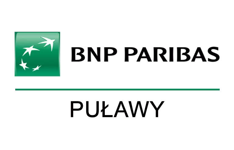 Logo placówki BNP w Puławach