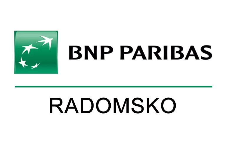 Logo placówki BNP w Radomsku