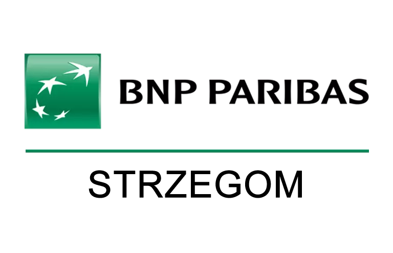 Logo placówki BNP w Strzegomiu
